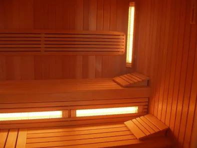 Przewodnik po dostępnych na rynku grzejnikach do budowy sauny. Przekonamy Cię że promienniki do saun są najbardziej skuteczne bezpieczne i efektywne w terapii ciepłem.